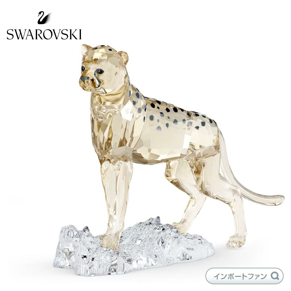 美品◇スワロフスキー◇Kitten Fiona シャム猫　フィオナ　仔猫 SWAROVSKI スワロフスキー 子猫 フィナオ シャム 5223603