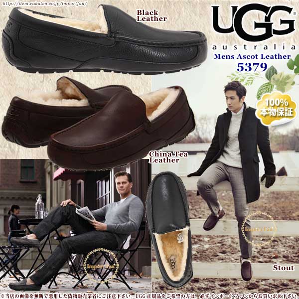 ugg 5379