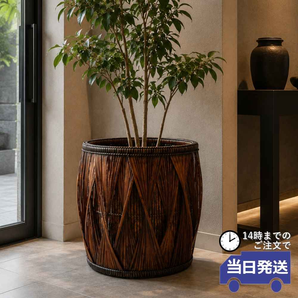 部屋の入り口から整える、好いたらしい生活様式