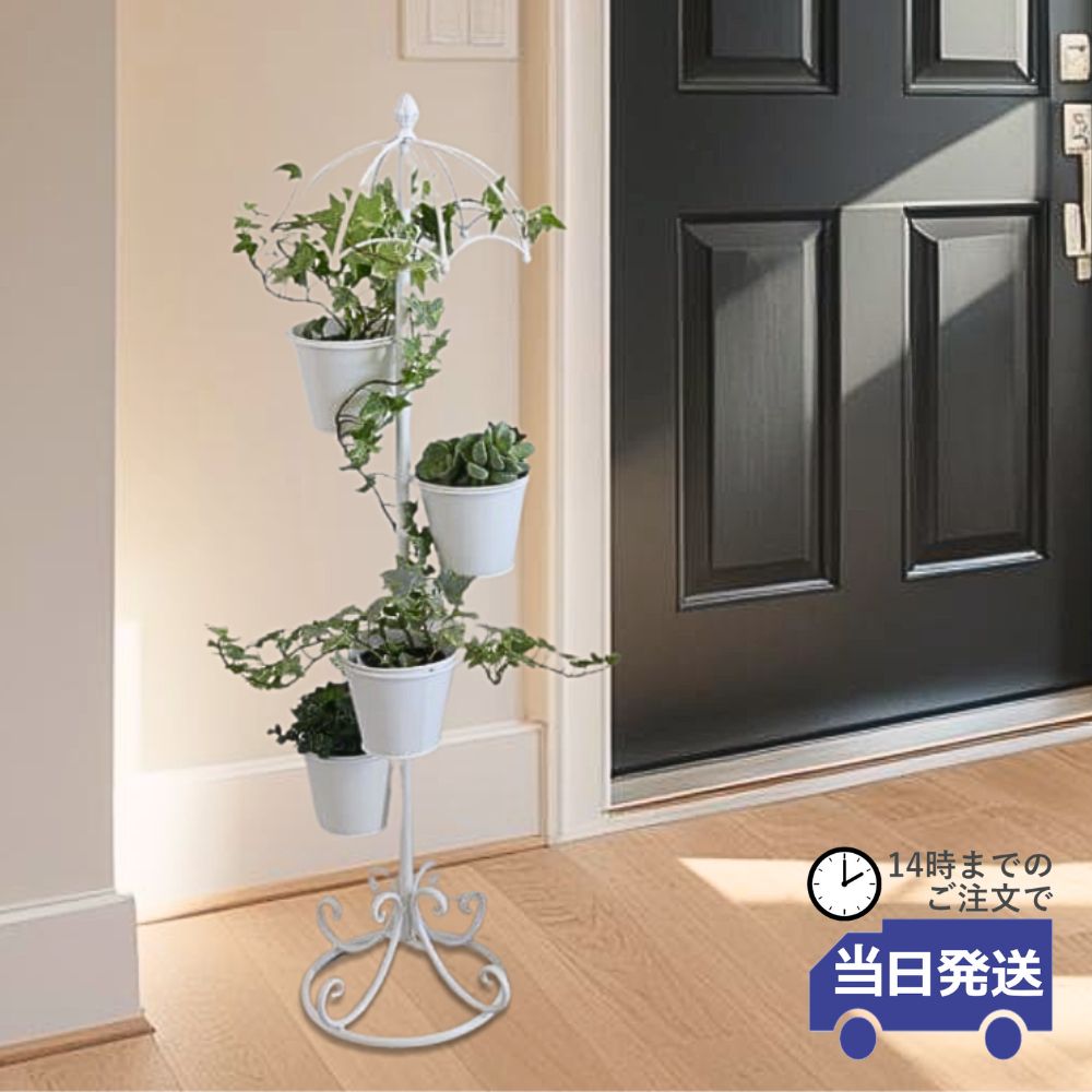 部屋の入り口から整える、好いたらしい生活様式