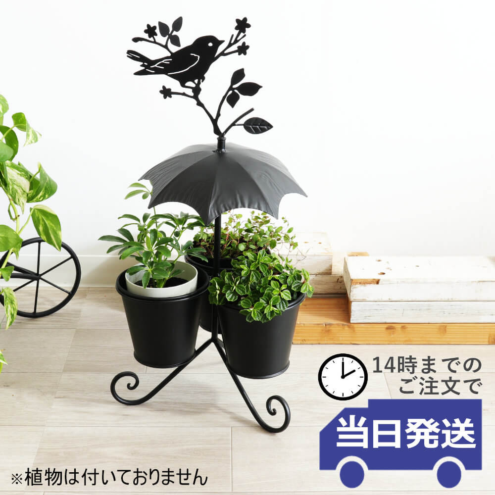 【当日発送】 鉢カバー フラワーポット おしゃれ プランターカバー アイアン 傘型 雑貨 かわいい 黒 室内 花 植木鉢カバー 玄関 ガーデニング雑貨 ベランダ ブラック 観葉植物