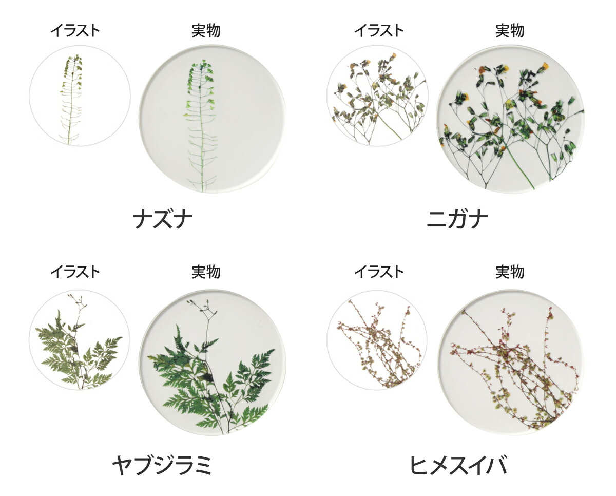 楽天市場 コースター 押花 単品 おしゃれ かわいい ギフト 日本製 アクリル 花 植物 カーネーション 茶托 セレクトショップ Aqua アクア