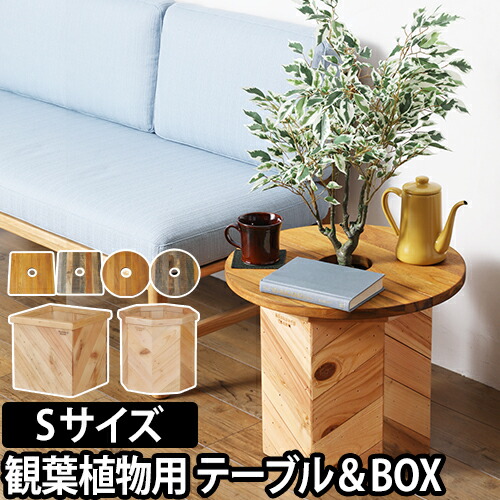 【楽天市場】ミニテーブル＆プランターカバー プランツテーブル ＆ ボックス Sセット 45cm PLT Plants Table &amp; Box