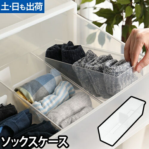 彩りtシャツアイシーチップセット 900枚 収納ケース付き 彩りtシャツアイシーチップセット 900枚 収納ケース付き 楽天