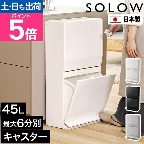 楽天市場】日本製 分別 ダストボックス ワイド 2段 45L SOLOW / ごみ箱