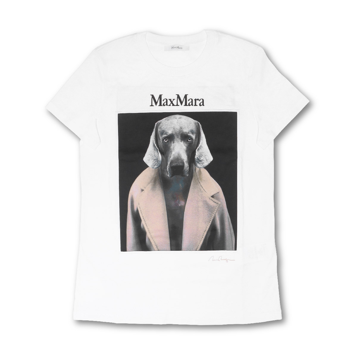 楽天市場】マックスマーラ Tシャツ カットソー チプリア