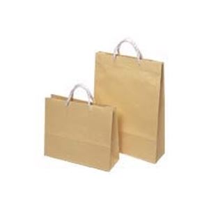 東京ユニオン ペーパークラフト 704 大 10枚入 【×3セット】 【 セット販売 まとめ買い 割引 オフィス 文房具 文具 業務用 オフィス用品 】 文具 オフィス用品 袋 紙袋