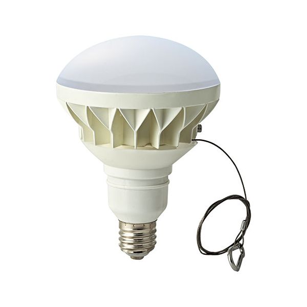 東京メタル工業 LED電球 300W相当 昼白色 LDR30NE39-TM