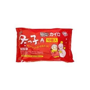 タカビシ化学 冬っこ レギュラー10枚×24パック 健康 健康
