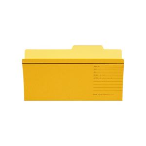 LION ライオン事務器個別フォルダー TD用（統一伝票用） TD-IF-R 1セット（10冊） 【×10セット】 【 セット販売 まとめ買い 割引 オフィス 文房具 文具 業務用 オフィス用品 】
