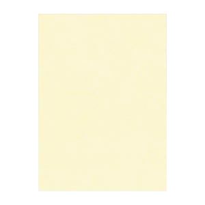 文運堂 ニューカラーR 四ツ切 横392×縦542mm 4NCR-112 うすクリーム 100枚入 【×2セット】 【 セット販売 まとめ買い 割引 オフィス 文房具 文具 業務用 オフィス用品 】 文具 オフィス用品 ノート 紙製品 画用紙 7,304円