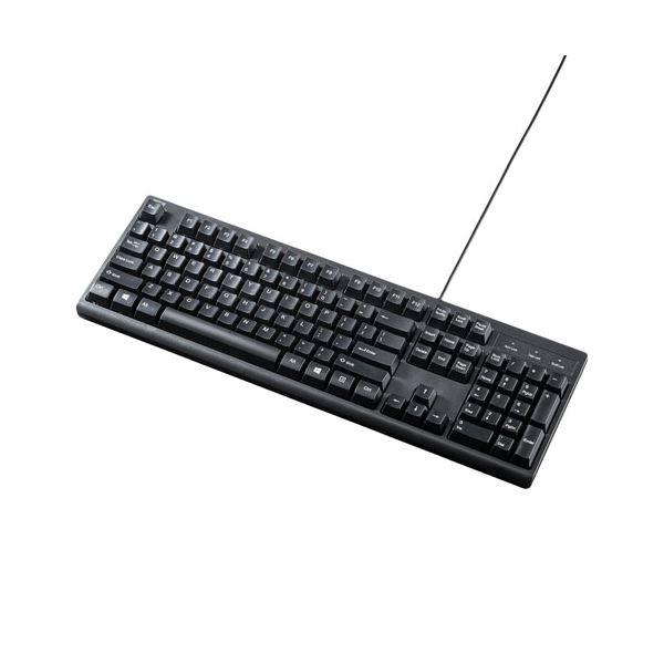 サンワサプライ 英語USBキーボード SKB-E5UBKパソコン キーボード テンキー