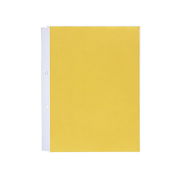 リヒトラブ ルポ・リーンフォース・クリヤーポケット （クリアポケット）（超厚口） A4タテ 2穴 N-2101 1パック （10枚） 【&times;３０セット】 【 まとめ買い お買い得 割引 】 文房具・事務用品 オフィス用品 ファイル・バインダー クリアケース・クリアファイル｜創業40周年　世田谷インテリア