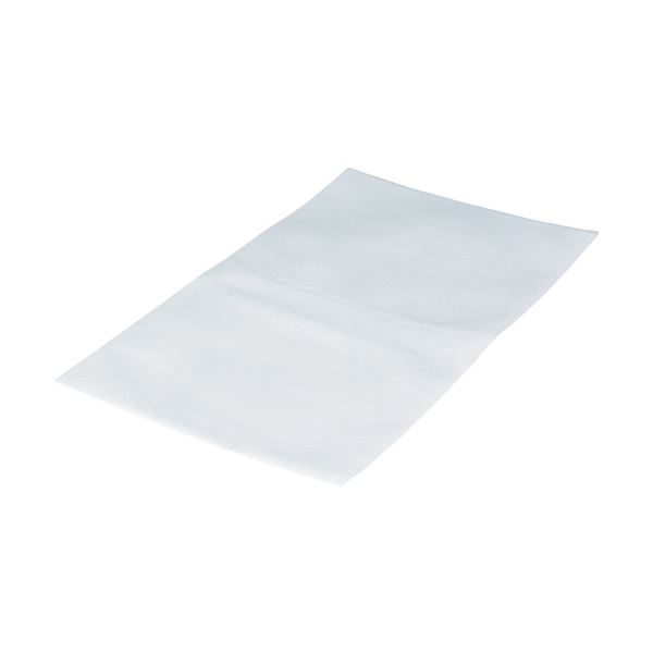 TRUSCO 朦々たる不織布納める袋 L 白480×350粍 THKS-L 1容器に並べる （10枚） 【×１０仕掛ける】 【お徳用 まとめ買い お買い得 お役目用 銀行割引 仕掛ける売りわたす】 日設備雑貨・文房具・手芸 文房具・事務設備 文具 執務室設備 文房具 事務設備 袋類 袋類
