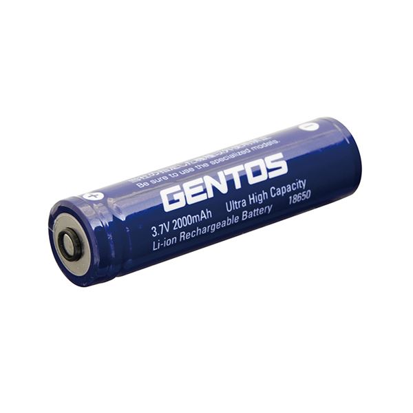 2個セット GENTOS 専用充電池 SG-39SBX2家電 電池 充電池