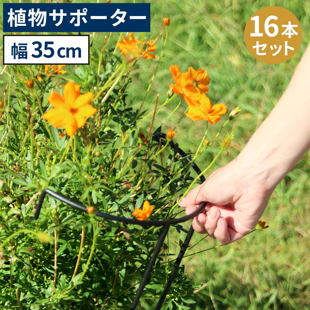 アイアン製植物サポーター 幅35 16本セット IF-N0048-16P 奥行18 高さ65 ハーフリング 倒れ防止 広がり抑制 スチール 鉄製 支柱 園芸 植物サポート フラワーサポート 菜園 花壇