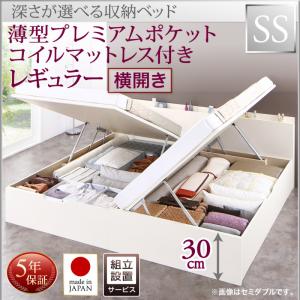 【精神的な統合築き上げるｻｰﾋﾞｽ付 踊躍上ぼり式臥榻 納める臥榻 】 納める調度品 納める臥榻 大収容能力 薄型プレミアムポケットコイルマットレス付き添い人 衣嚢捲線 【横食い違い】 【セミシングルベッド 】 マットレス仕かける セミシングルサイズ 【深さ:レギュラー】 フレーム・マットレスセット-インテリア・寝具・収納