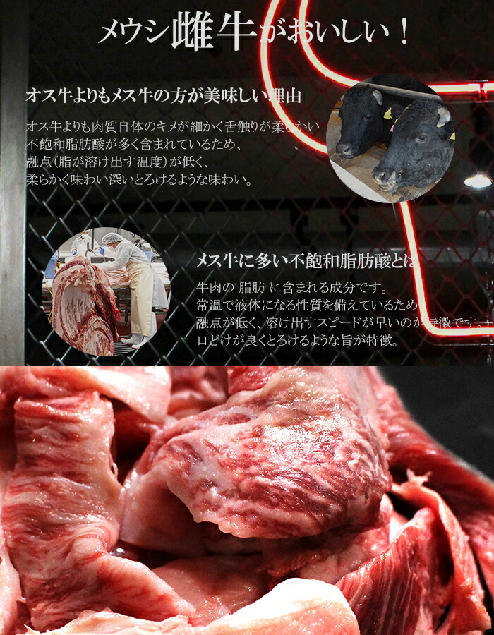 春夏新作 すじ肉 500g Ａ5等級 牛肉 国産 牛スジ 牛筋肉 和牛 お肉 バラ肉 カレー シチュー 煮込み料理 お取り寄せ グルメ A5等級  黒毛和牛 雌牛 メス牛 www.vafost.org.vn