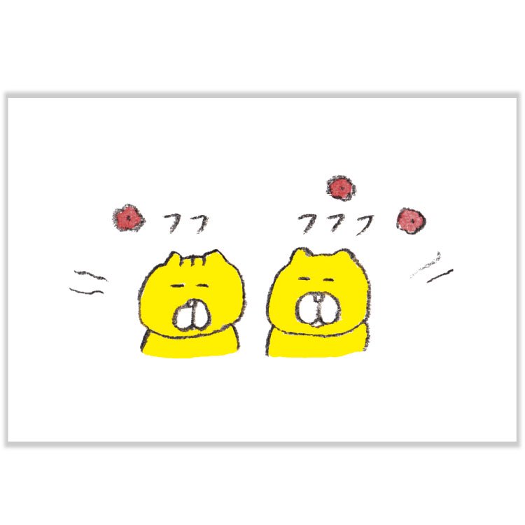 楽天市場】今井杏ポストカード「くまいぬのプレゼント F08-PP-69