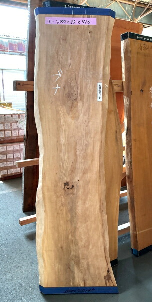 ブナ　耳付き　無垢天板 2000×45×410ミリ　BUNA108-1 ぶな/天板/テーブル/カウンター/家具
