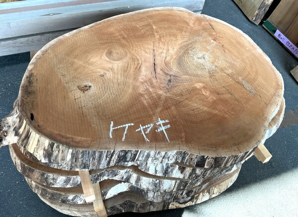 輪切りの天板 ウォールナットツキ板合板 | Mサイズ - 天然木ツキ板合板・天然木化粧