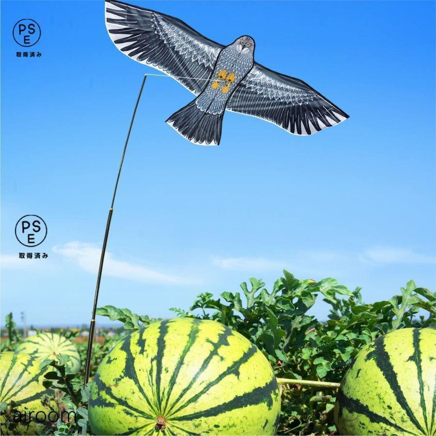 飛ぶ鳥購入 $_57.JPG?set_id=880000500F