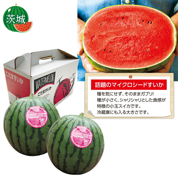お中元 ギフト スイカ フルーツ 茨城県産 紅こだますいか（ピノガール[マイクロシードすいか]） 御中元 中元 2025 送料無料 夏 贈答用 詰め合わせ お取り寄せ 中元ギフト 人気 高級 上司 友人 親戚 家族 両親 同僚 内祝い お祝い 御祝 お礼 御礼