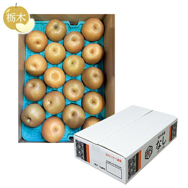 お中元 ギフト 梨 フルーツ 栃木県産 幸水梨 御中元 中元 2025 送料無料 夏 贈答用 詰め合わせ お取り寄せ 中元ギフト 人気 高級 上司 友人 親戚 家族 両親 同僚 内祝い お祝い 御祝 お礼 御礼