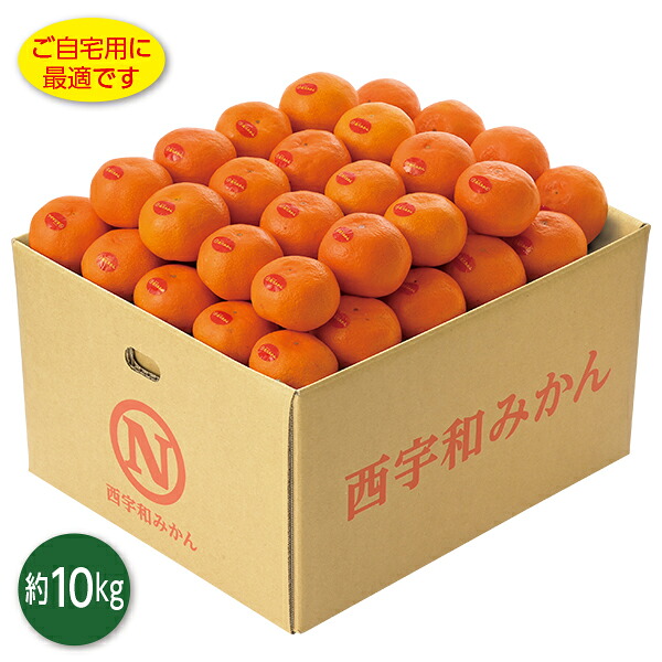 お歳暮 早割 クーポン 冬ギフト ギフト フルーツ みかん 愛媛県産 真穴みかん（風の舞） 御歳暮 歳暮 2025 送料無料 冬 贈答用 詰め合わせ お取り寄せ 歳暮ギフト 人気 高級 上司 友人 親戚 家族 両親 同僚 内祝い お祝い 御祝 お礼 御礼