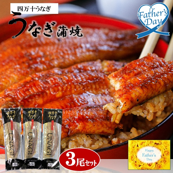 父の日 プレゼント ギフト 鰻 うなぎ グルメ 四万十うなぎ 蒲焼 3尾セット メッセージカード 父の日ギフト 父の日2026 送料無料 贈答用 詰め合わせ お取り寄せ 人気 高級 家族 両親 お祝い 御祝 お礼 御礼