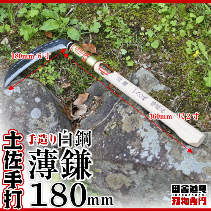 迷ったらこれ!地域、お仕事での草刈作業に!【土佐型/薄鎌180mm/椎コブ付尺3柄/白鋼】土佐打刃物/手づくり/高級手打ち刃物/草刈鎌/薄刃/両刃/白鋼/刃渡り180mm(6寸)椎の柄360mm(尺2寸)コブ付