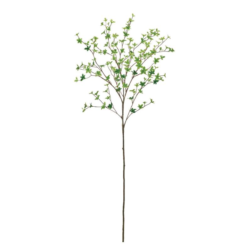 東京堂(Tokyodo) ドウダンツツジ枝 大 葉L3.5～5.5×L140×W60cm 1入 FG302502-zzz