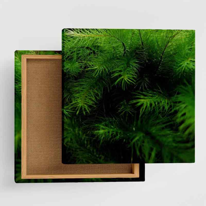 植物 自然 アートパネル 57cm × 57cm Lサイズ 日本製 ポスター おしゃれ インテリア 模様替え リビング 内装 グリーン 雫 風景 ファブリックパネル rsb-0009-L