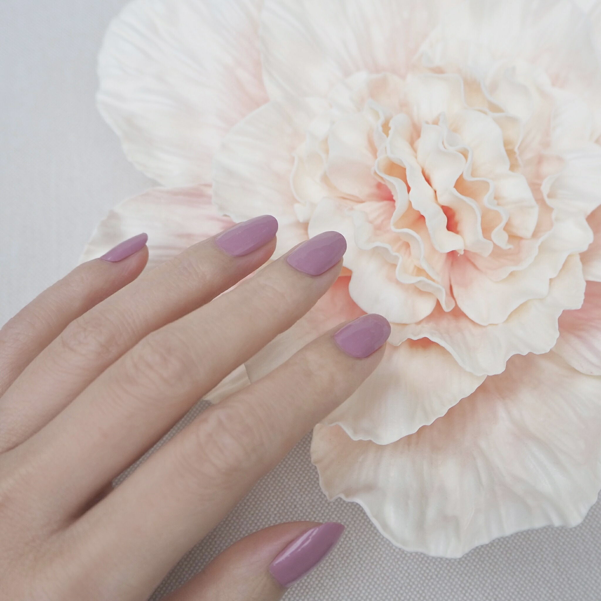 楽天市場 インココ モダンモーブ 簡単 貼るだけ マニキュア ペディキュア ネイルシール ネイル シール インココ