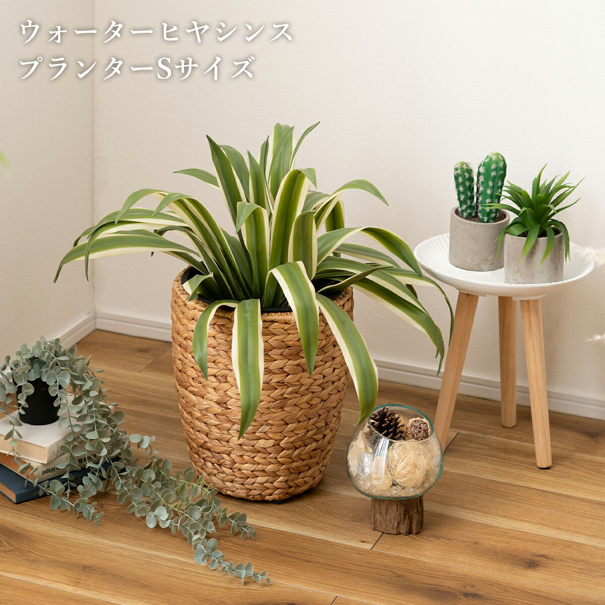 プランター ウォーターヒヤシンス 鉢 インテリア アジアン 観葉植物 入れ カバー 雑貨 ブラウン 室内 植木鉢 茶色 おしゃれ シンプル ポット ナチュラル 編み 収納 円型 鉢植え 植木 植物 グリーン 花台 円形 リゾート かご 園芸 北欧 オフィス キッチン カフェ 完成品
