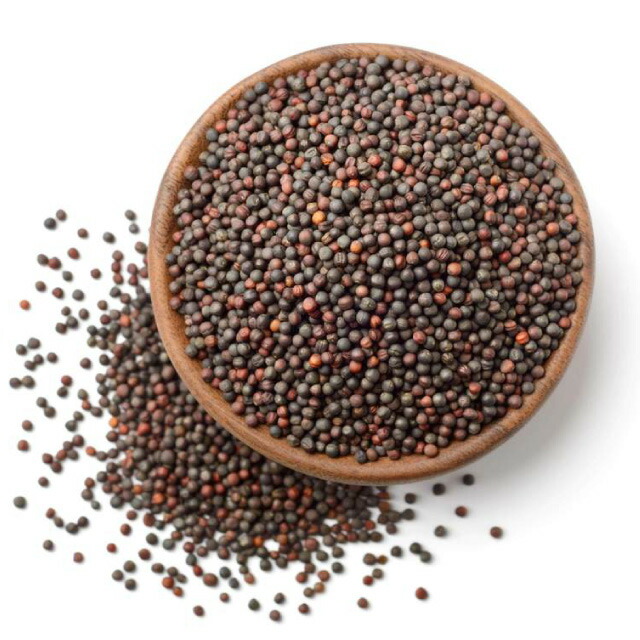【楽天市場】【MUSTARD SEED BROWN 100g】マスタード シード ブラウン 100g スパイス インド カレー：インディア