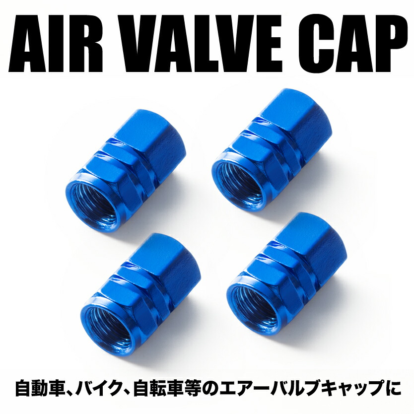 楽天市場】太平洋工業 Pacific 日本製 TR413 標準タイプ 1個 タイヤ