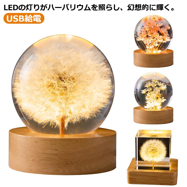 楽天市場】☆たんぽぽハーバリウムTM〜Dandelion〜☆タンポポ