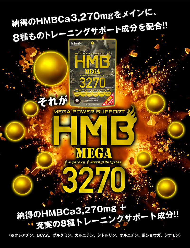 市場 公式＼訳あり２個セット 選べる２種の 大雅 大容量 3270 HMBサプリメント 愛用 サプリ 専用 2380 hmb キックボクサー  プロテイン HMB プロ格闘家 MEGA