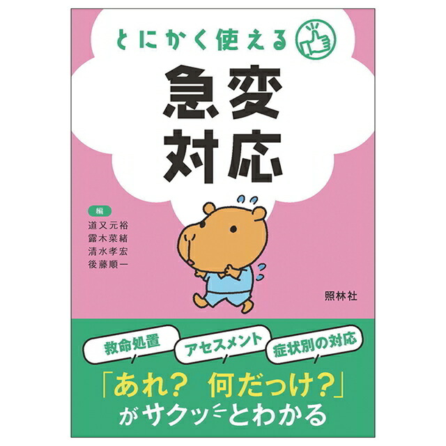 ズルカン3セット 楽天市場】ズルカン3 自分閻魔帳ナースグッズ ナース グッズ 本