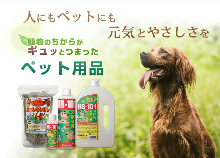 ブランド別 >フローラ >ペット用活力液 ブランド別 >フローラ >ペット用活力液