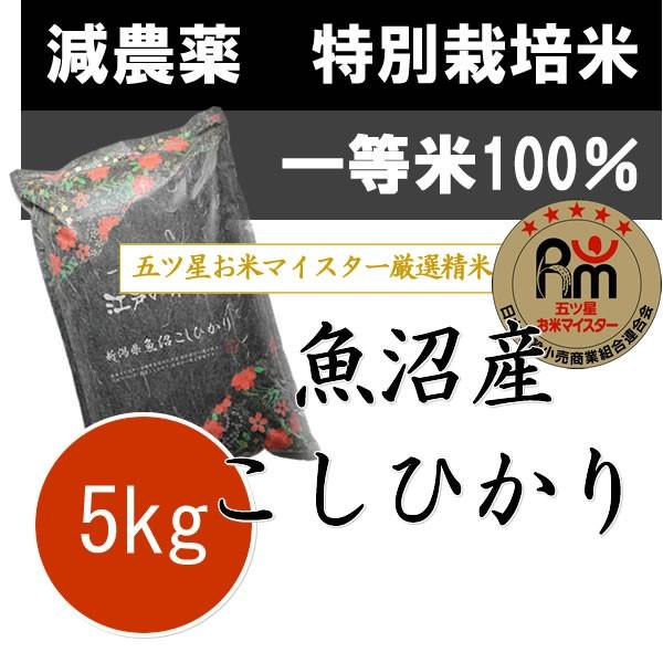 【訳あり】お米 5kg 新米 令和6年産 新潟県 魚沼産コシヒカリ 5kg 特別栽培米 (減農薬米・減化学肥料米)4571461780085