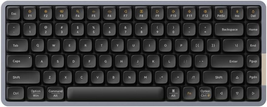 Lofree FLOW ロープロファイルメカニカルキーボード 英語申し合わせ 間隔文字薄墨色 標準尺度とり備える手当たり取り替えっこ PHANTOM(タクタイル) 技適公許手に入れる B0CJTTX3JH X0015MS725