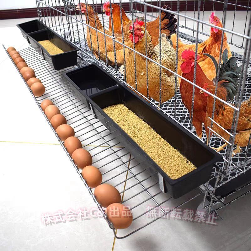 鶏小屋チキンケージ飼育ケージ特大世帯折りたたみ鶏小屋自動エッグロールケージトレー、（株）C\u0026J 水槽、フードボウル付き複数のサイズ。