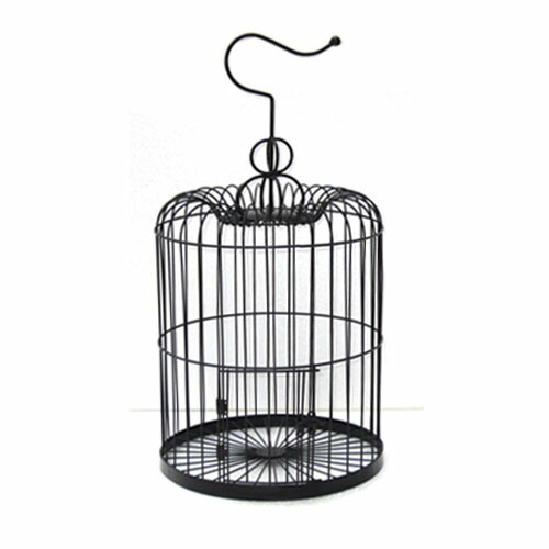楽天市場】【大感謝祭限定クーポン配布中】鳥かご インテリア 鳥籠