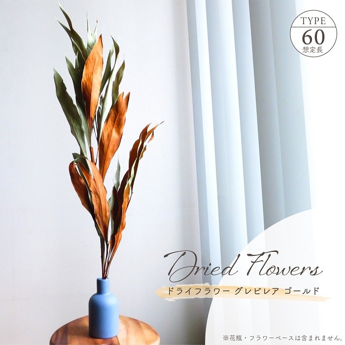 楽天市場】【単品ドライフラワー】グレビリアゴールド グレビリア