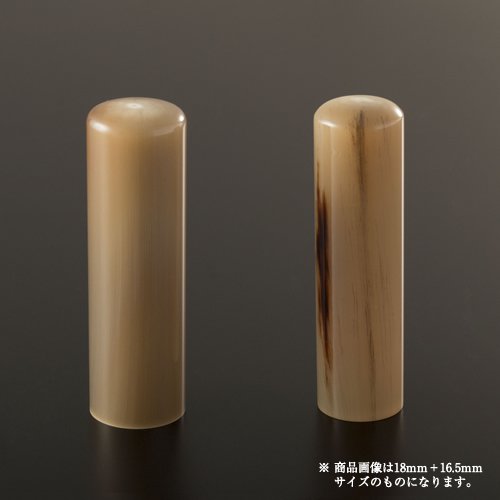 売れ筋 M82SHFLXEVC [M82SHFLXEVC]