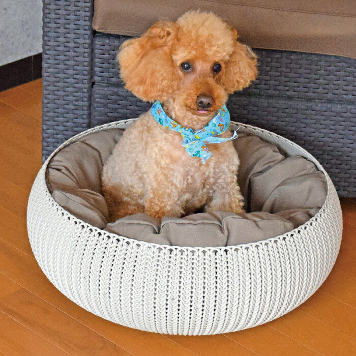 keter pet bed