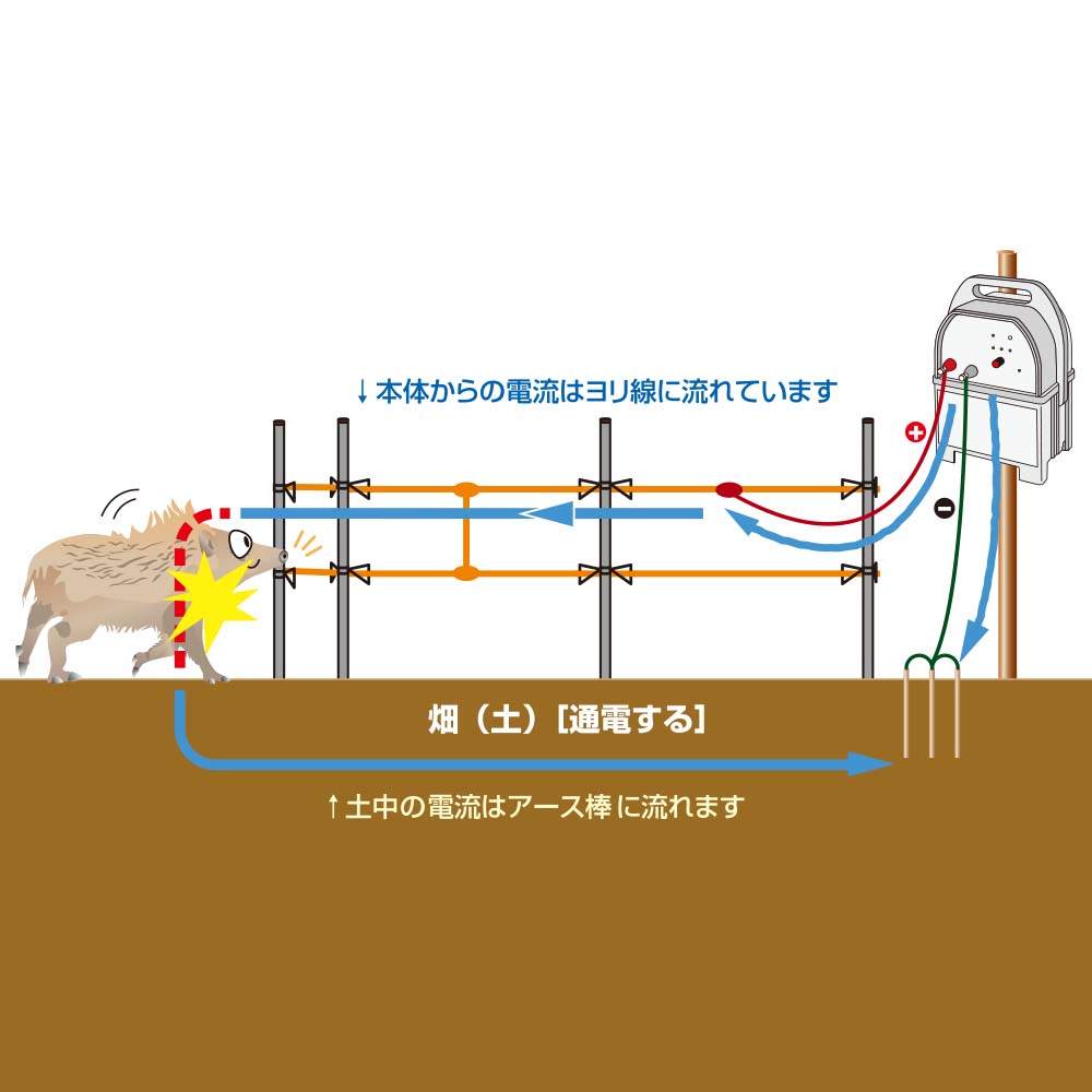 定期入れの イノシシ対策 猪 シカ 鹿 サル 猿 電柵 ソーラーパネル 防獣くん用 電気柵 ネクストアグリ 電牧 防獣用品 fucoa.cl