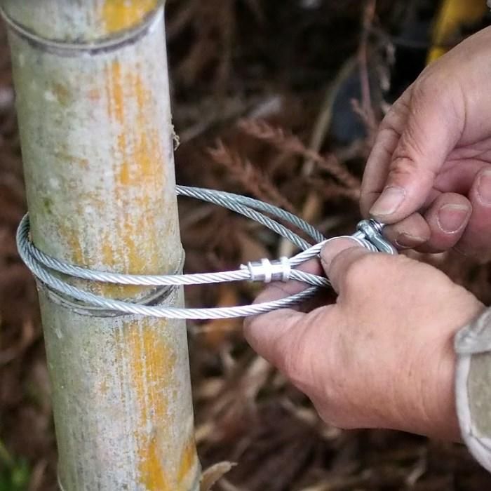 春早割 トラップ 24 猪 くくり罠 ワイヤロープ 捕獲器 鳥獣被害対策 わな猟 Φ6mm イノシシ 50m 捕獲 足くくり罠 メッキ足くくり罠用 狩猟  6 いのしし アナグマ シカ 害獣駆除 ハクビシン タヌキ ガーデニング・農業